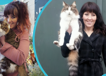 Kelly Ronahan: Ein Blick auf ihre Karriere und Leistungen