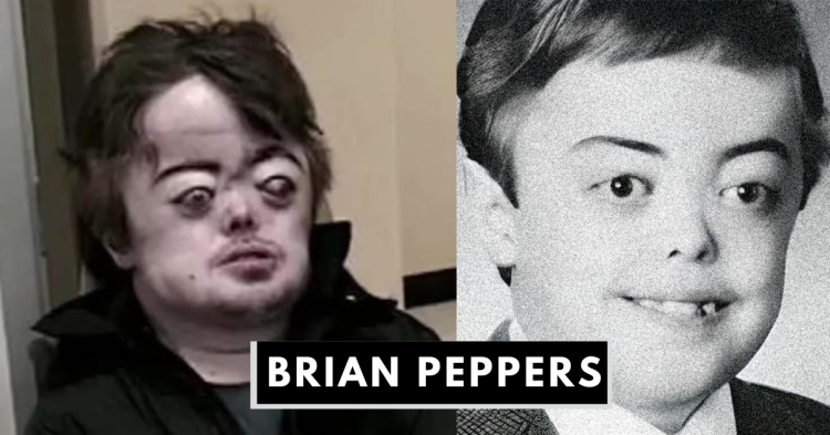 Brian Peppers: Eine Analyse seiner Geschichte und des Phänomens der Internet-Viralität