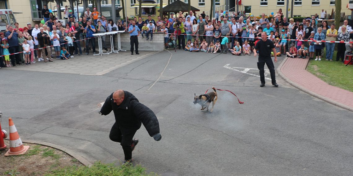 Polizeibericht Gotha: Aktuelle Ereignisse im Fokus