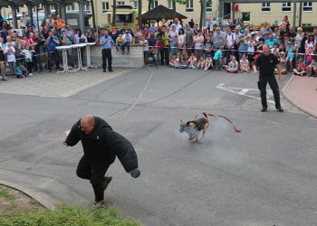 Polizeibericht Gotha: Aktuelle Ereignisse im Fokus