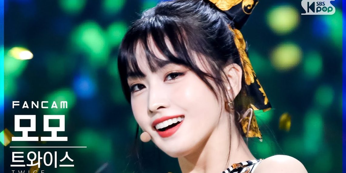 모모 (MOMO): Eine Aufstrebende Kryptowährung im Fokus