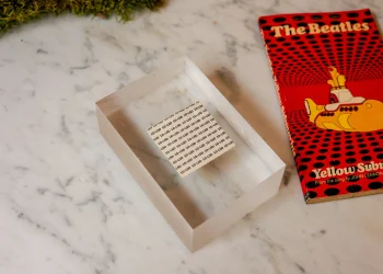 CBD, Blüten-Cannabis & 1D-LSD: Wirken Diese Drogen Wirklich?