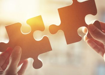 Puzzle-Typen: Ein Vergleich der verschiedenen Materialien