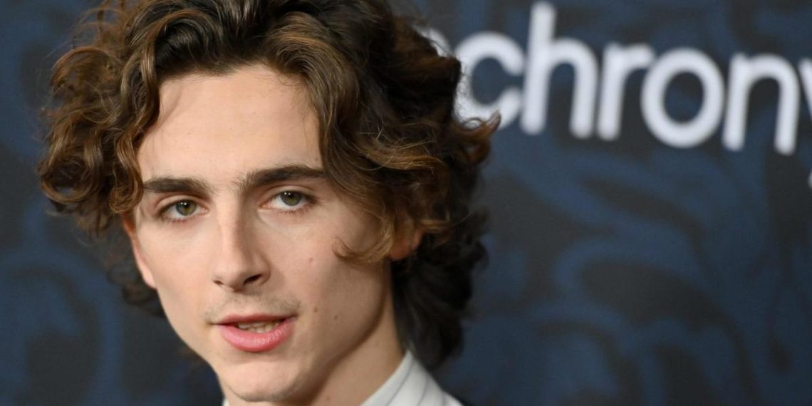 Filme Von Timothée Chalamet: Eine Karriere auf der Überholspur