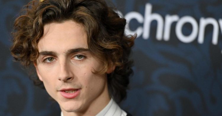Filme Von Timothée Chalamet: Eine Karriere auf der Überholspur