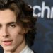 Filme Von Timothée Chalamet: Eine Karriere auf der Überholspur