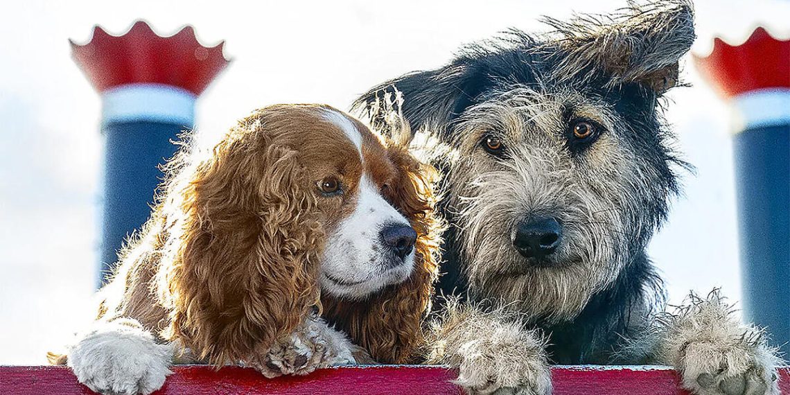 Susi und Strolch: Eine Zeitlose Liebesgeschichte