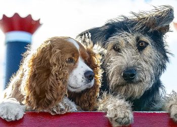 Susi und Strolch: Eine Zeitlose Liebesgeschichte
