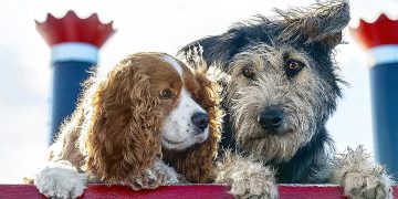 Susi und Strolch: Eine Zeitlose Liebesgeschichte