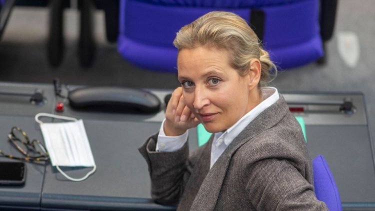 Alice Weidel: Ein Portrait der Politikerin