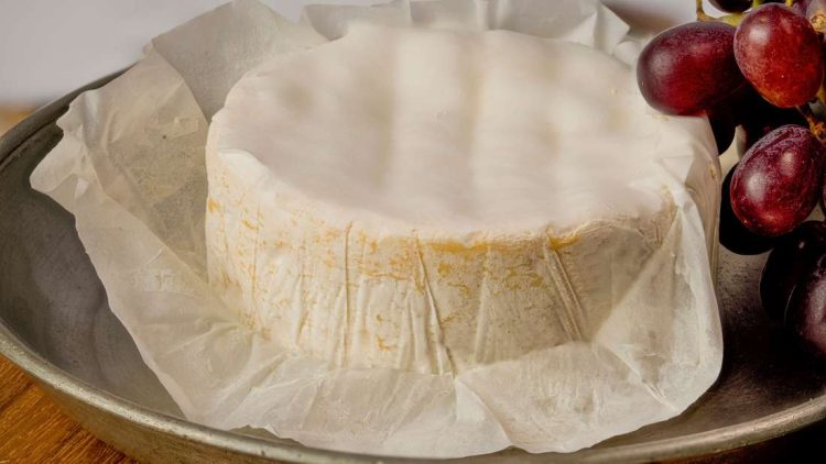 Käse Rückruf: Wichtige Informationen und Maßnahmen