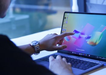 WiWo: Ein Begriff – Vielfältige Bedeutungen