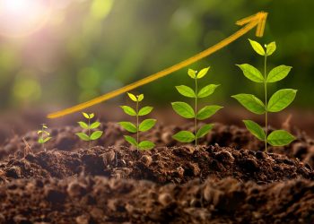 Wachstum: Ein umfassender Leitfaden zur Entwicklung und Expansion