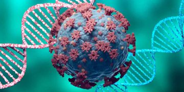 opinions about kopmatelatv