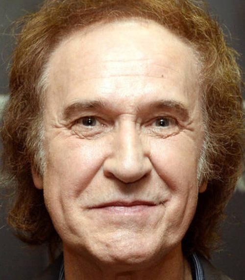 Ray Davies
