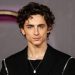 timothee chalamet